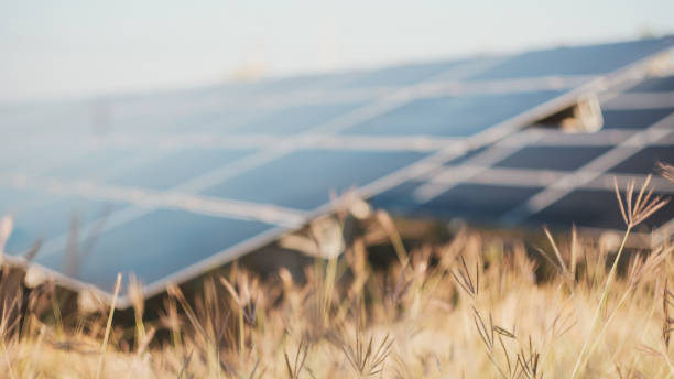 Rely on Expert Solar Companies for Seamless Solar Power Installation